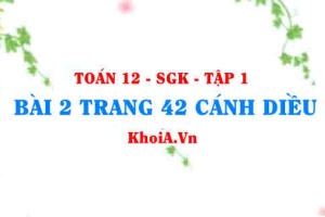 Bài 2 trang 42 Toán 12 tập 1 Cánh Diều